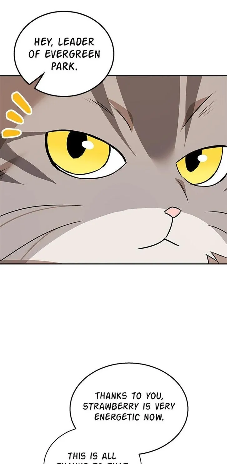 Hello, Mr. Veterinarian! Chapter 35 page 82 - 