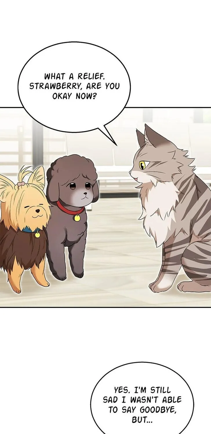 Hello, Mr. Veterinarian! Chapter 35 page 84 - 