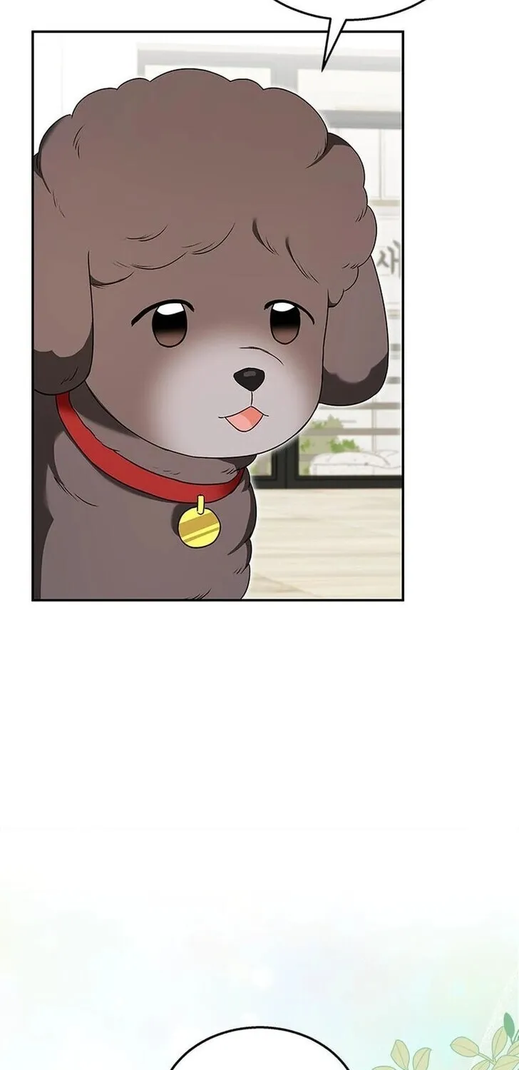 Hello, Mr. Veterinarian! Chapter 35 page 86 - 