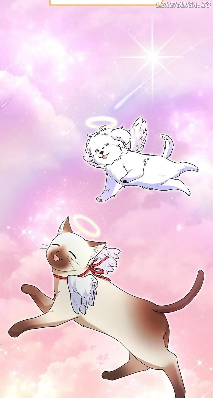 Hello, Mr. Veterinarian! Chapter 35 page 95 - 