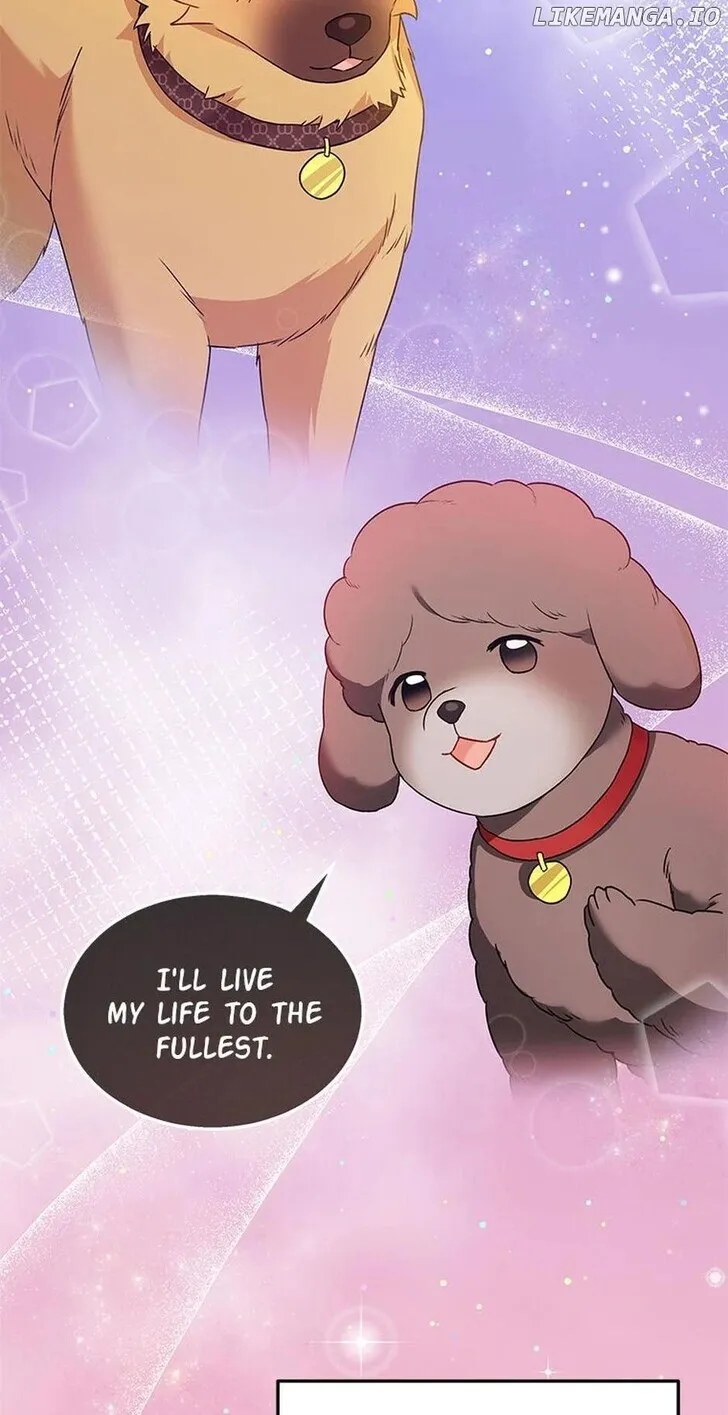 Hello, Mr. Veterinarian! Chapter 36 page 2 - 