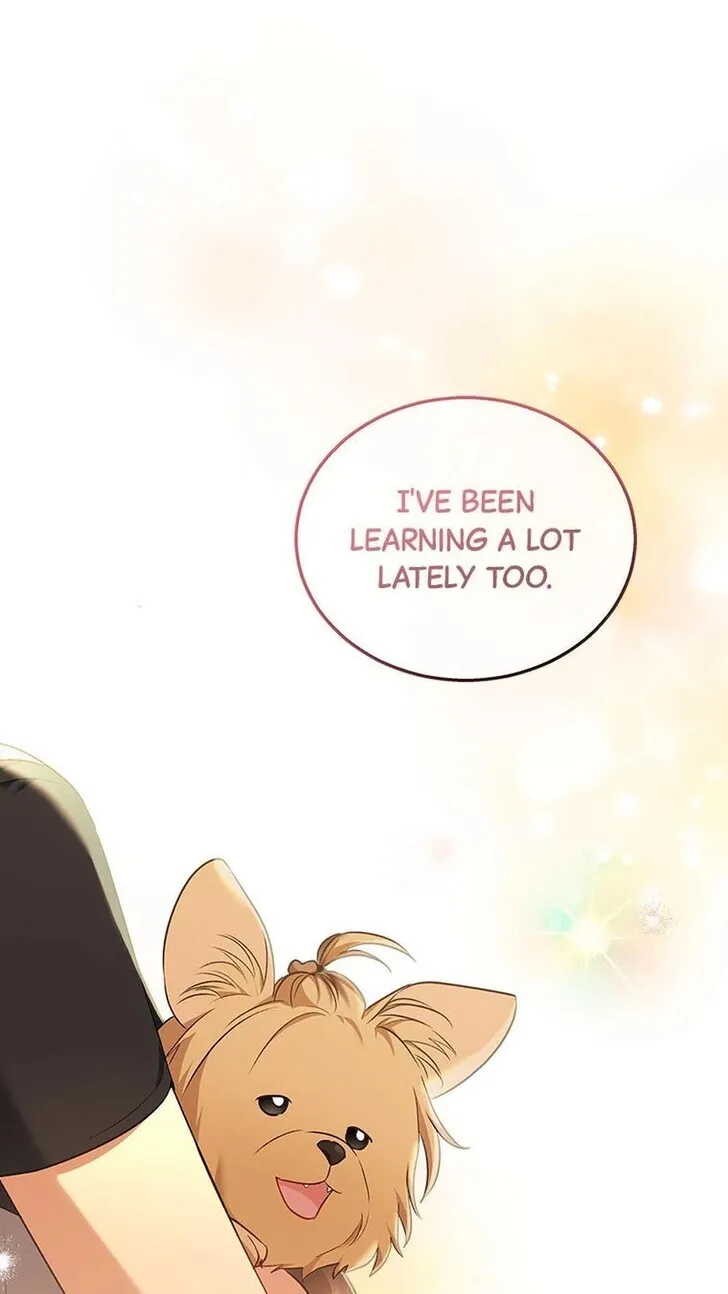 Hello, Mr. Veterinarian! Chapter 36 page 38 - 