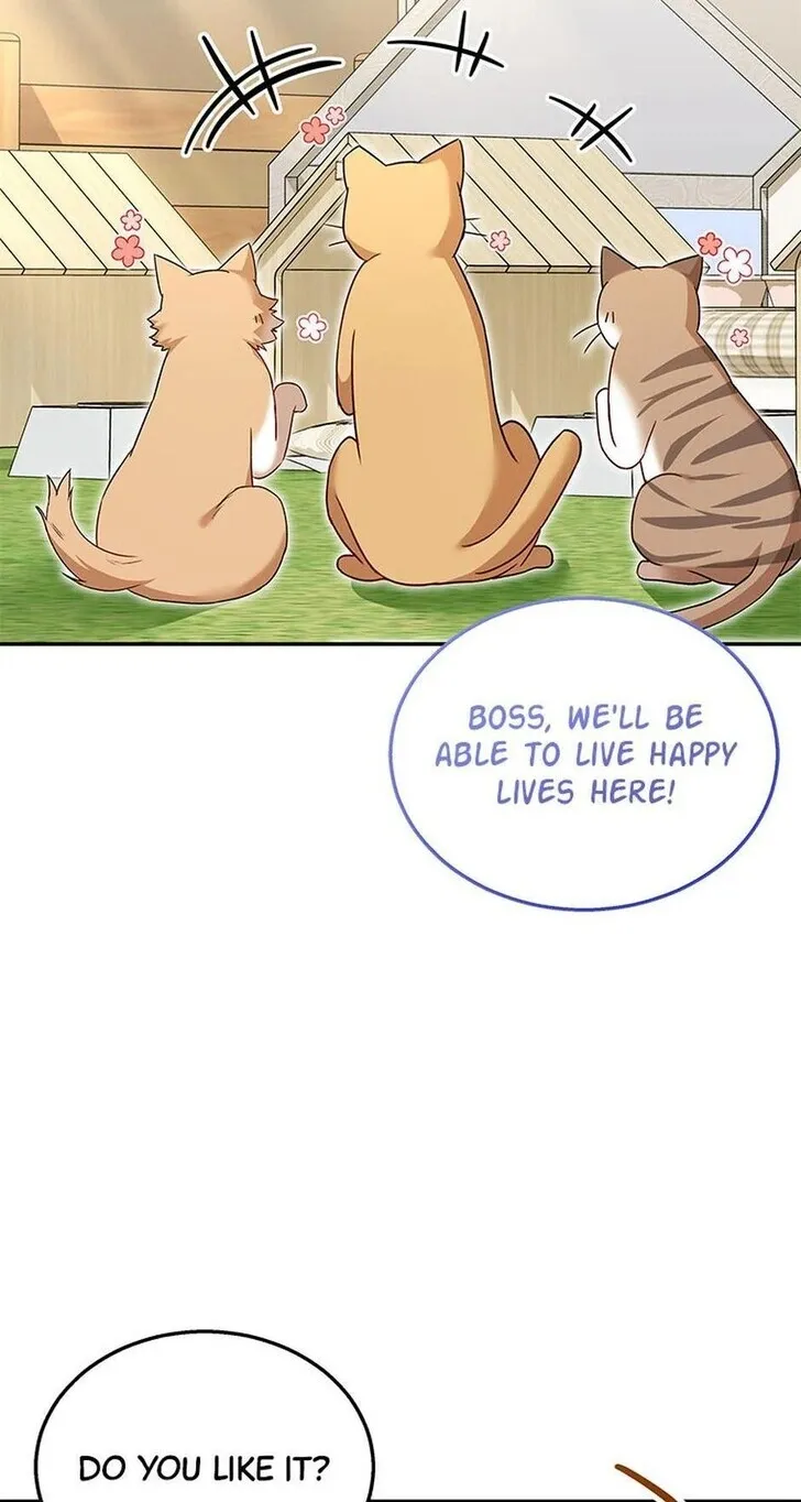 Hello, Mr. Veterinarian! Chapter 37 page 39 - 