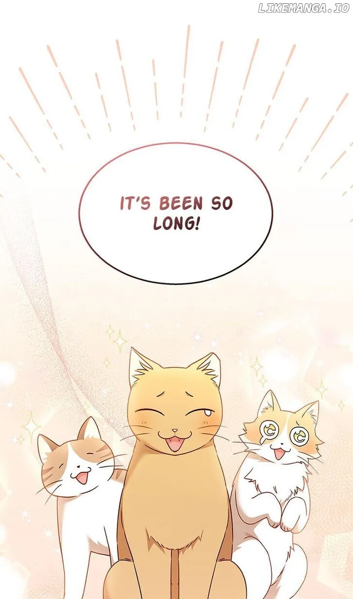 Hello, Mr. Veterinarian! Chapter 38 page 12 - 