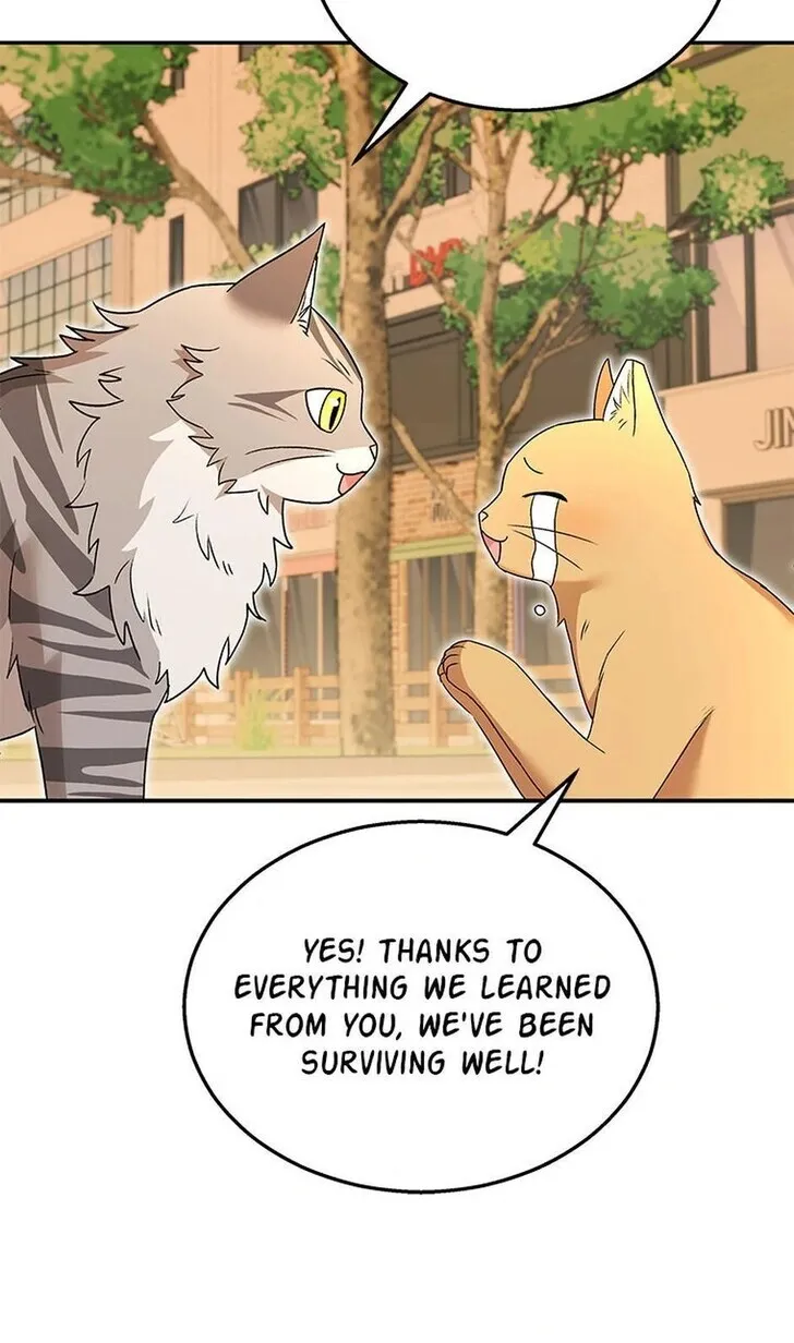 Hello, Mr. Veterinarian! Chapter 38 page 14 - 