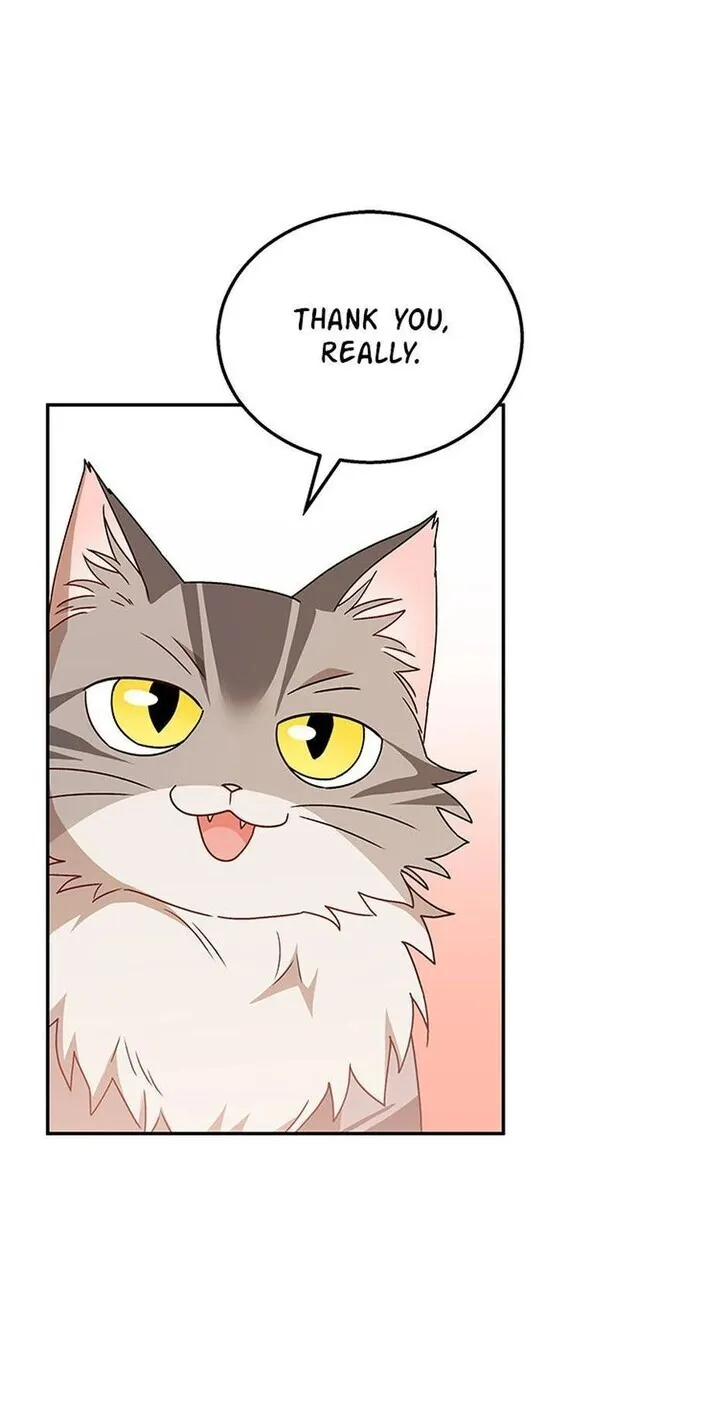 Hello, Mr. Veterinarian! Chapter 38 page 15 - 