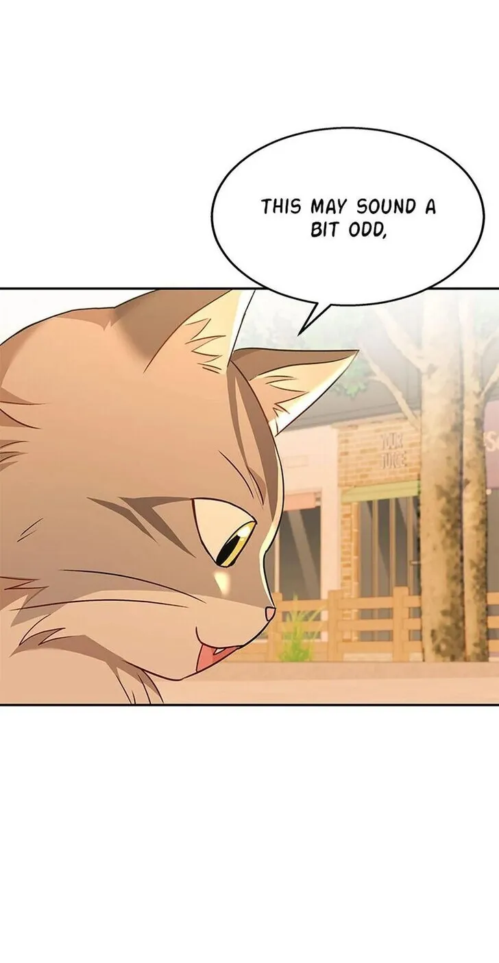 Hello, Mr. Veterinarian! Chapter 38 page 17 - 