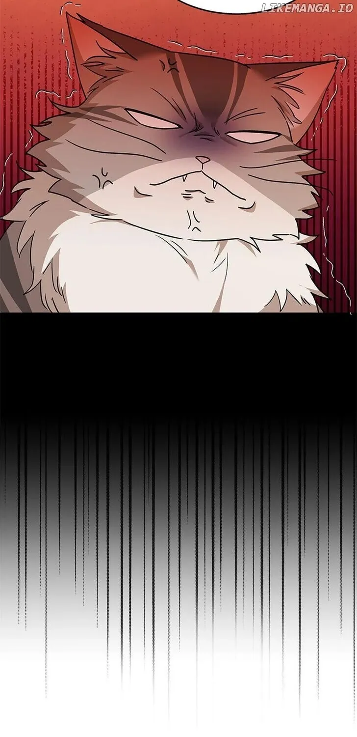Hello, Mr. Veterinarian! Chapter 38 page 32 - 
