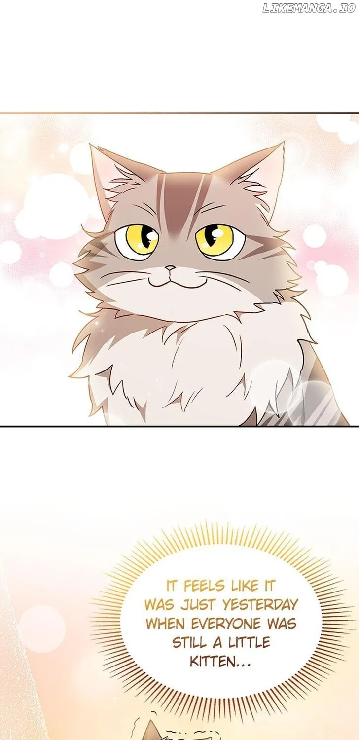 Hello, Mr. Veterinarian! Chapter 38 page 55 - 