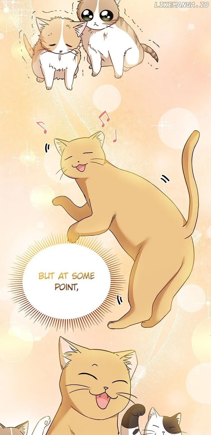Hello, Mr. Veterinarian! Chapter 38 page 57 - 