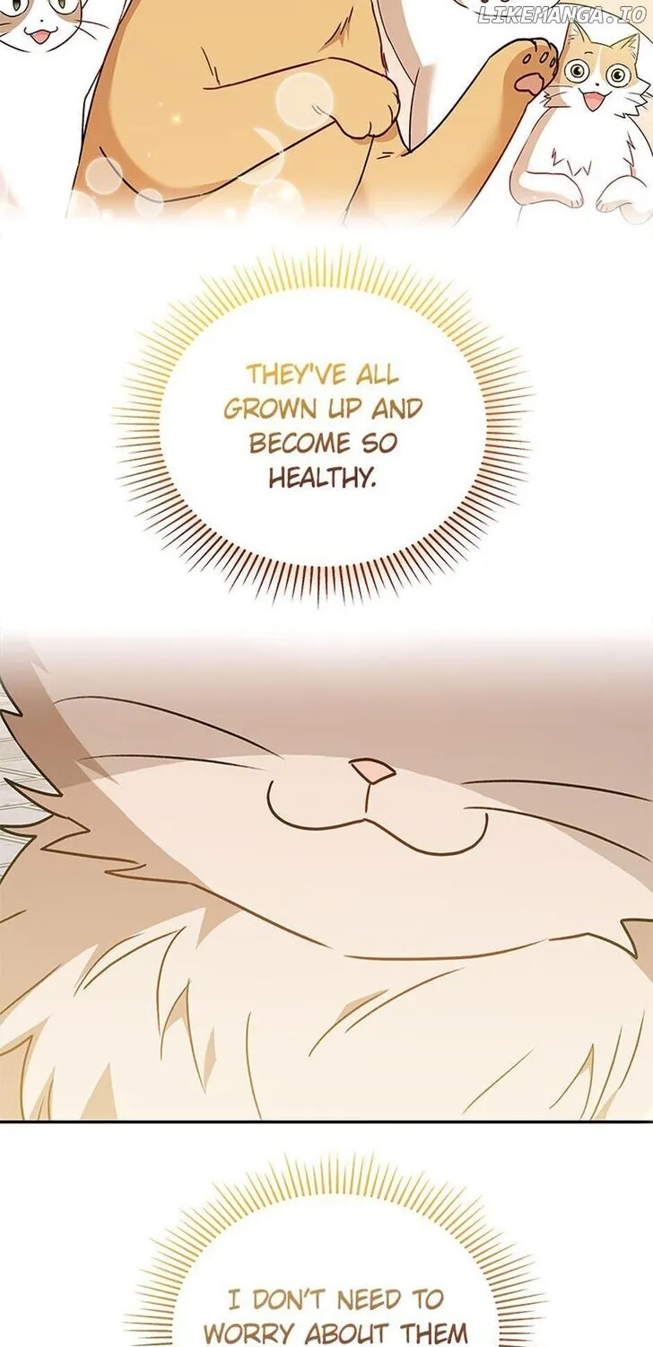 Hello, Mr. Veterinarian! Chapter 38 page 59 - 