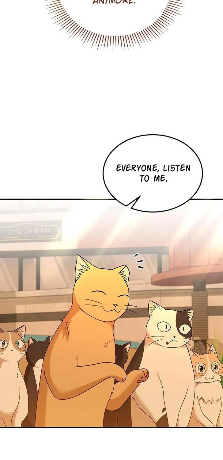 Hello, Mr. Veterinarian! Chapter 38 page 61 - 