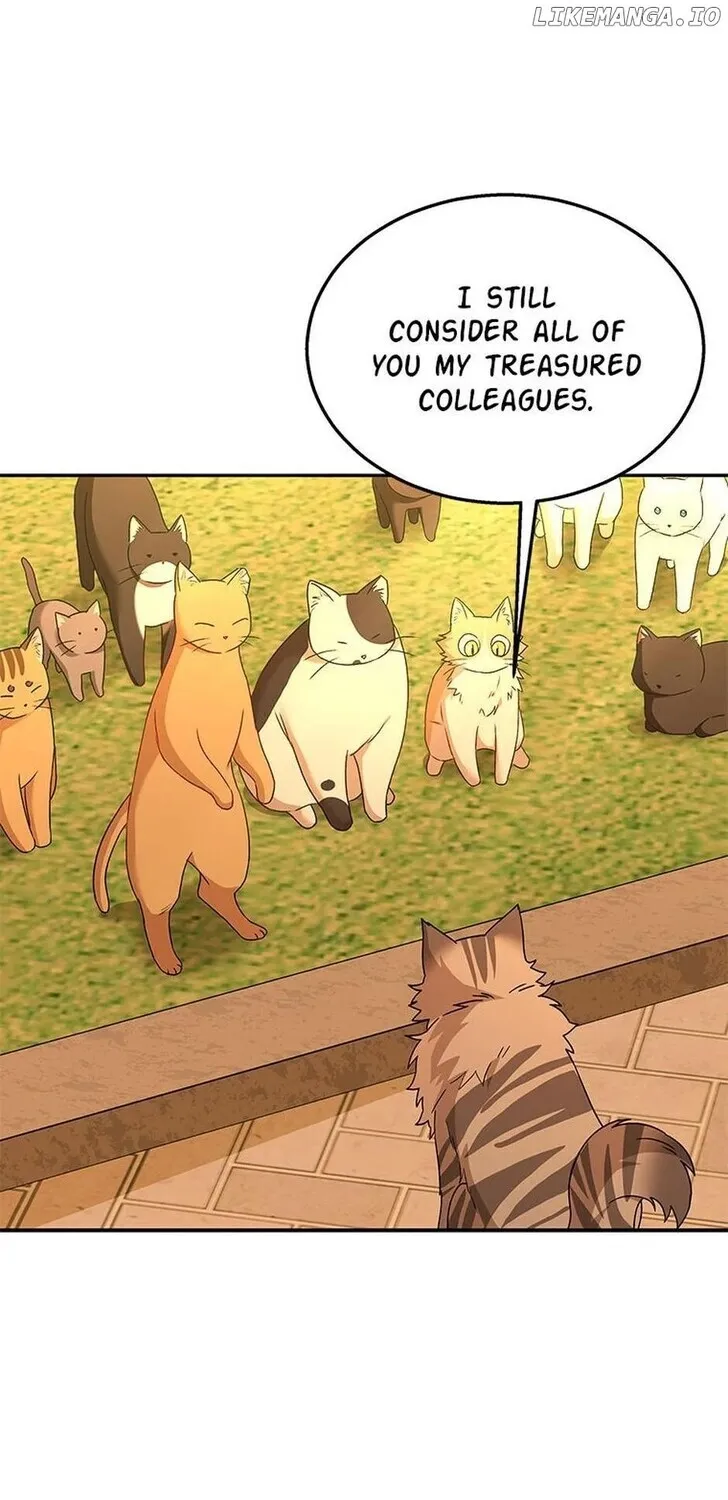 Hello, Mr. Veterinarian! Chapter 38 page 65 - 
