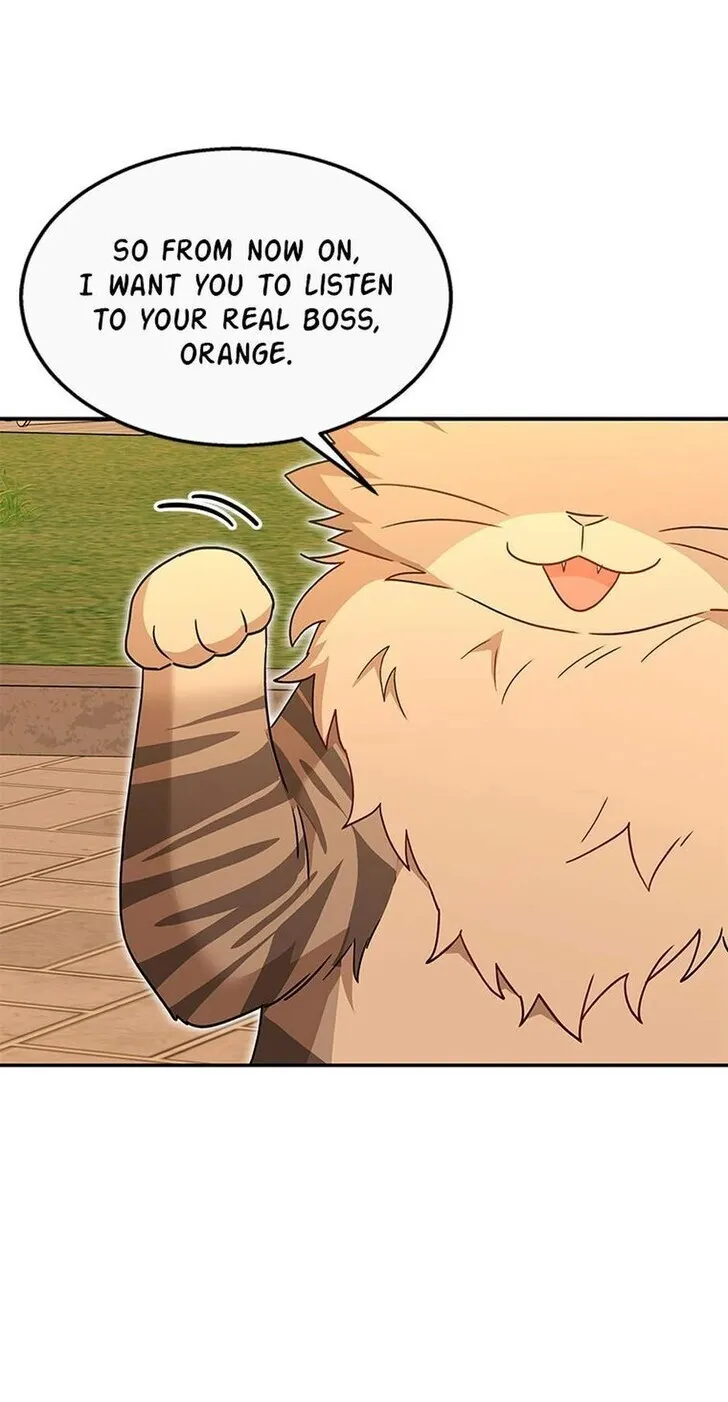 Hello, Mr. Veterinarian! Chapter 38 page 67 - 