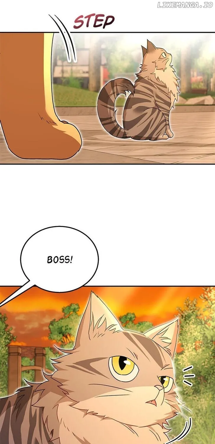 Hello, Mr. Veterinarian! Chapter 38 page 8 - 