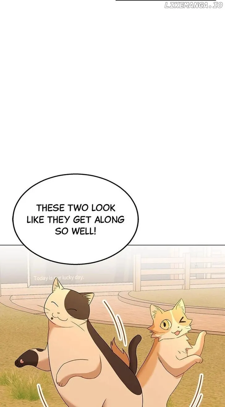 Hello, Mr. Veterinarian! Chapter 39 page 15 - 