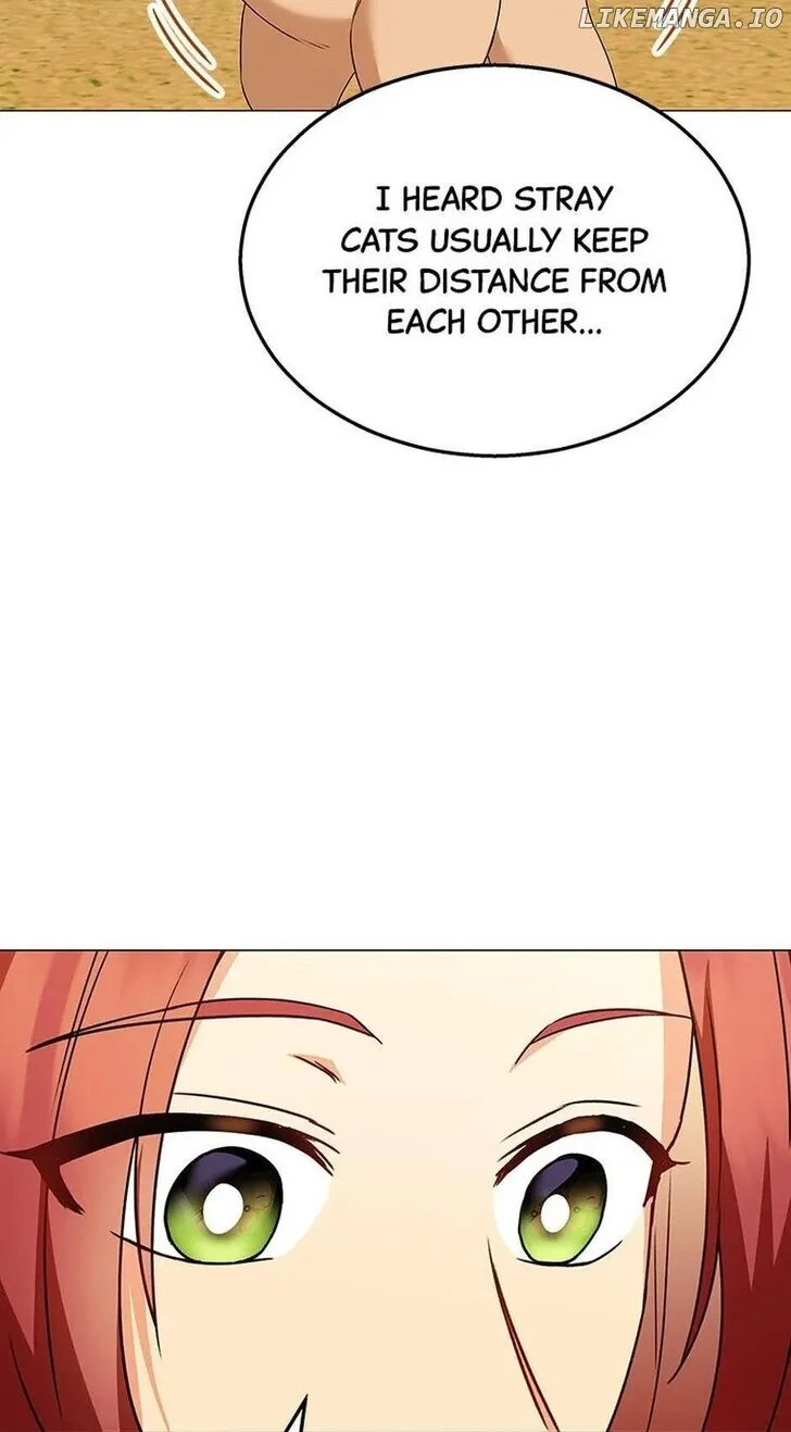 Hello, Mr. Veterinarian! Chapter 39 page 16 - 