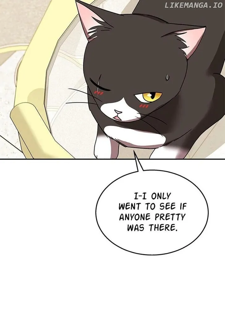 Hello, Mr. Veterinarian! Chapter 39 page 70 - 