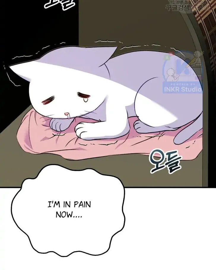 Hello, Mr. Veterinarian! Chapter 4 page 26 - 