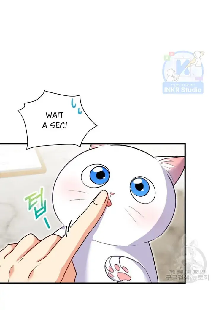 Hello, Mr. Veterinarian! Chapter 4 page 45 - 