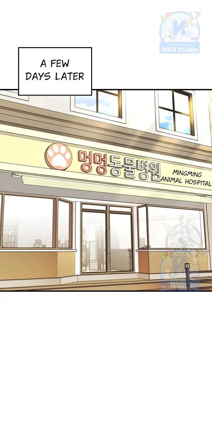 Hello, Mr. Veterinarian! Chapter 4 page 60 - 