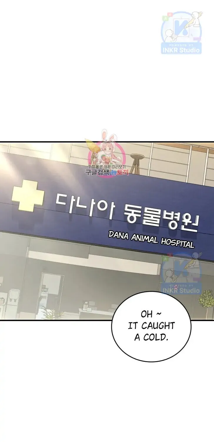 Hello, Mr. Veterinarian! Chapter 4 page 72 - 