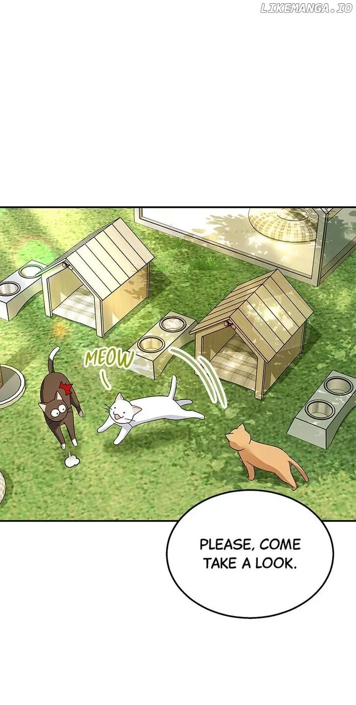 Hello, Mr. Veterinarian! Chapter 40 page 29 - 