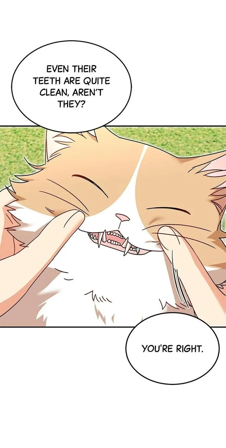 Hello, Mr. Veterinarian! Chapter 40 page 30 - 
