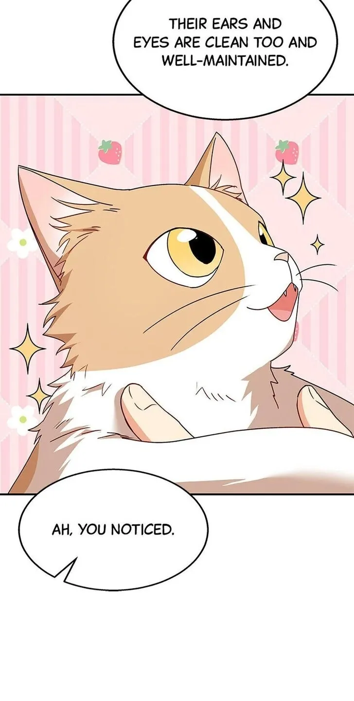 Hello, Mr. Veterinarian! Chapter 40 page 32 - 