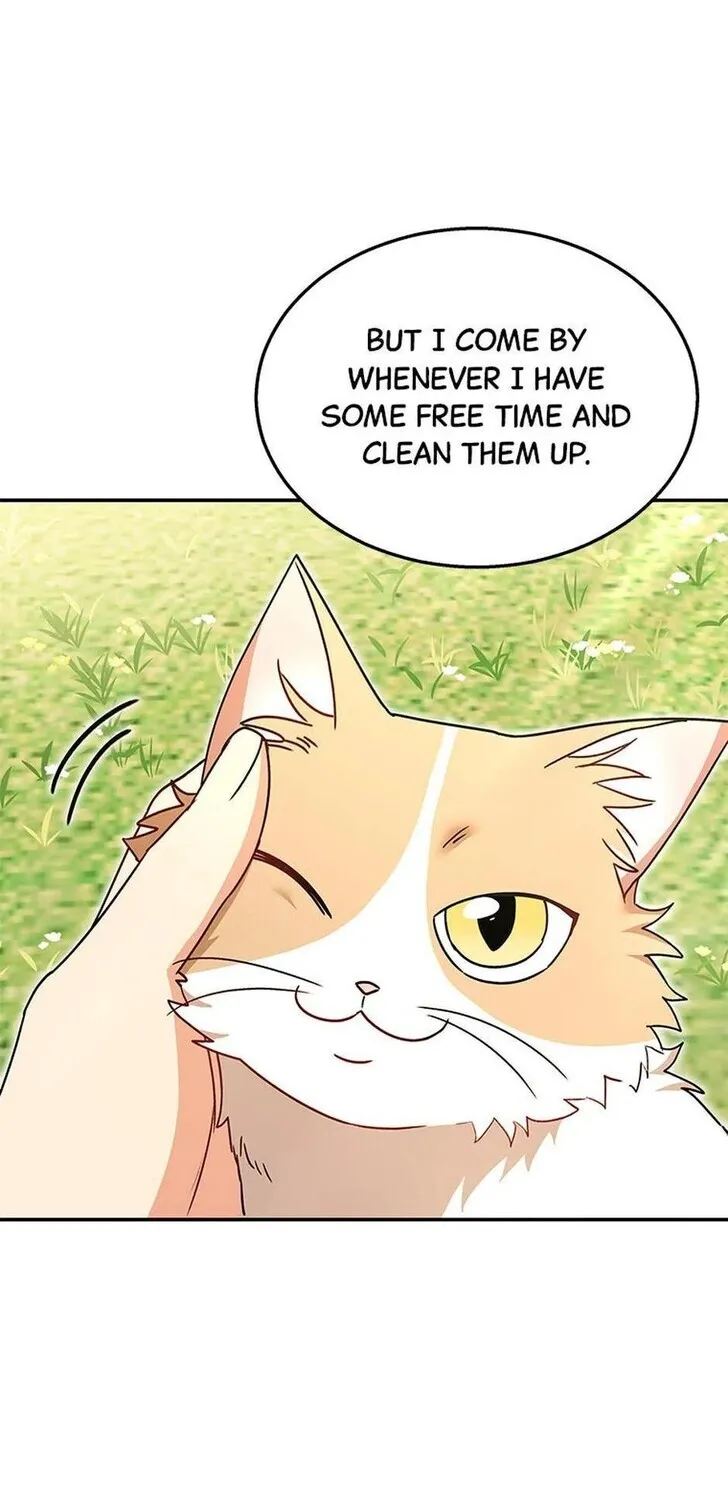 Hello, Mr. Veterinarian! Chapter 40 page 35 - 