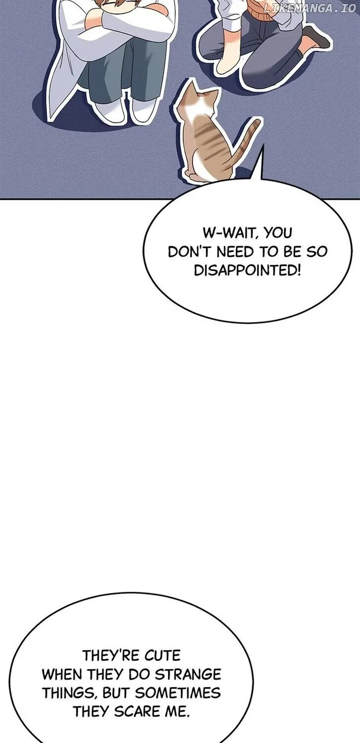 Hello, Mr. Veterinarian! Chapter 40 page 72 - 