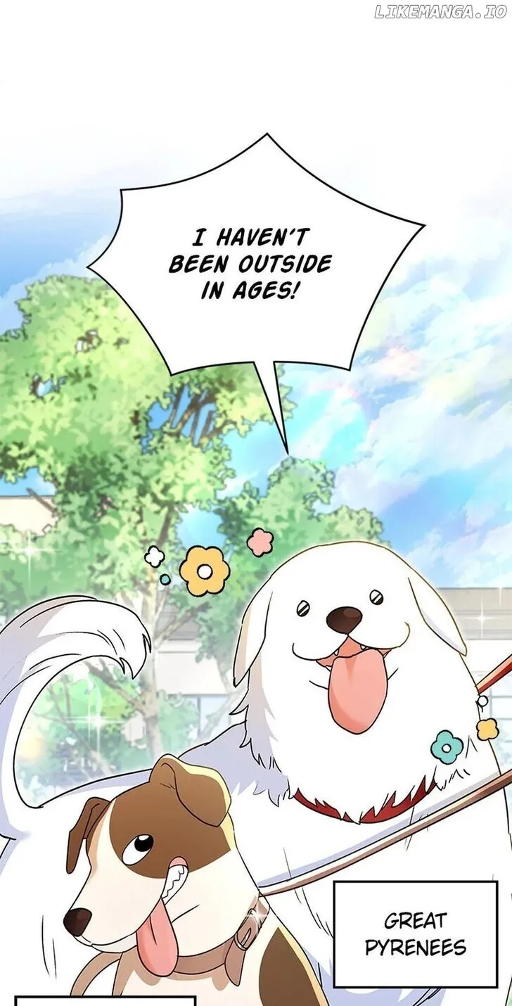 Hello, Mr. Veterinarian! Chapter 41 page 2 - 