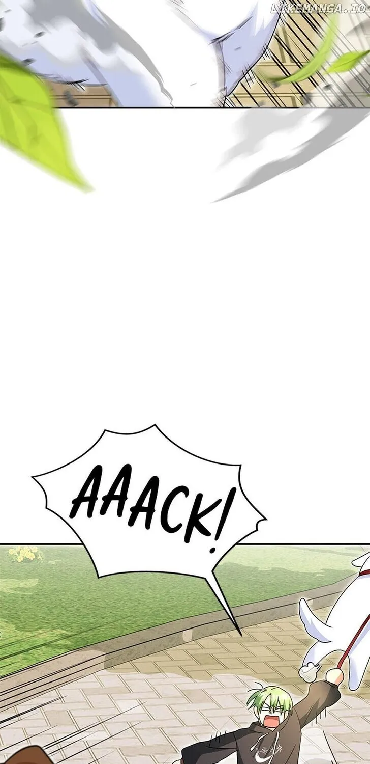 Hello, Mr. Veterinarian! Chapter 41 page 14 - 