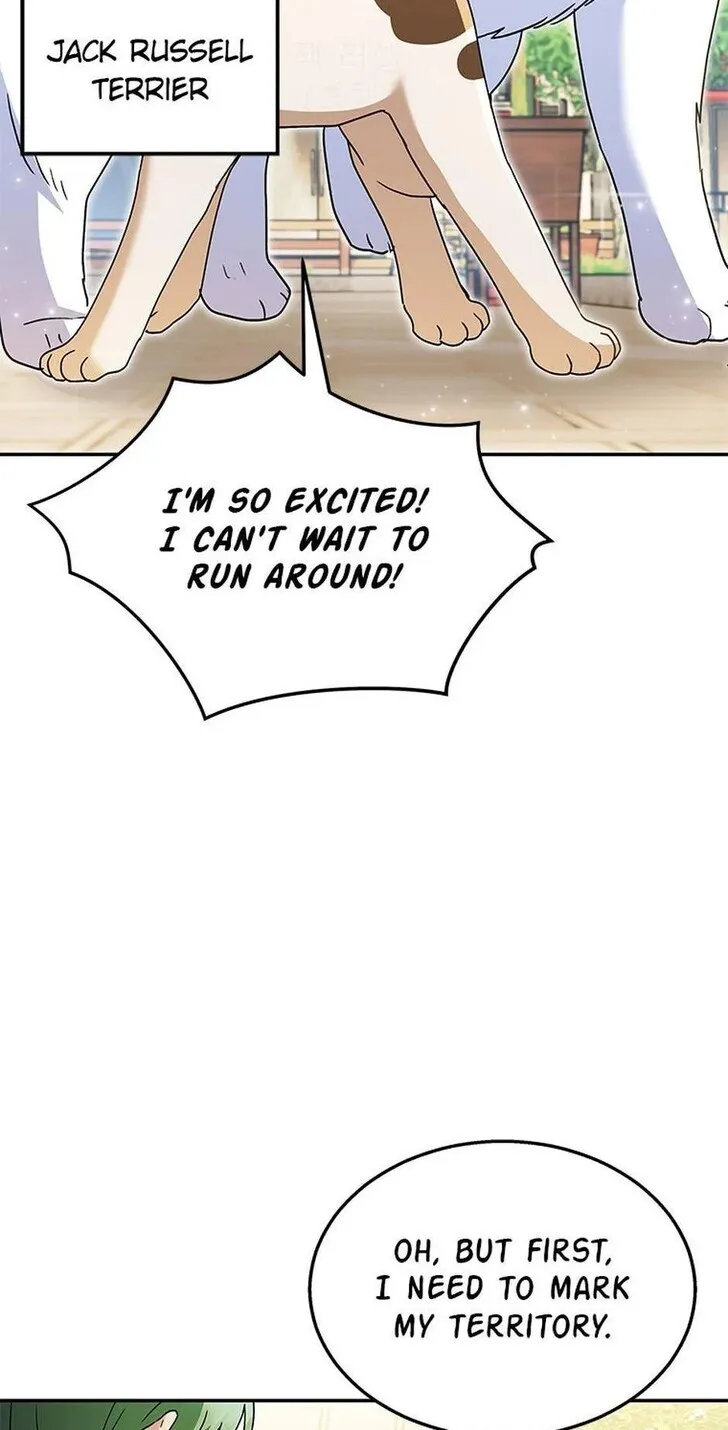 Hello, Mr. Veterinarian! Chapter 41 page 3 - 