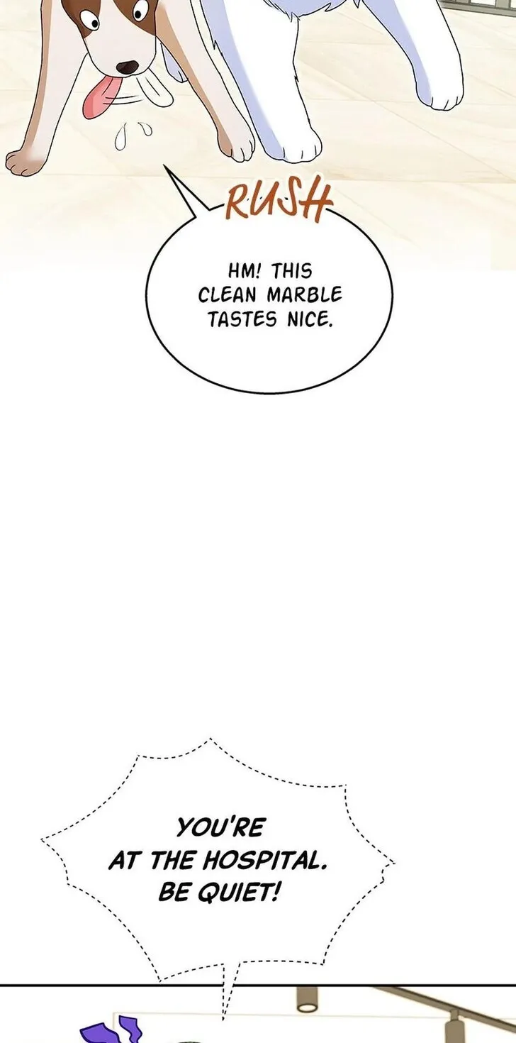 Hello, Mr. Veterinarian! Chapter 41 page 37 - 