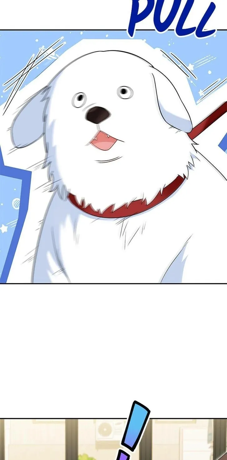 Hello, Mr. Veterinarian! Chapter 41 page 42 - 