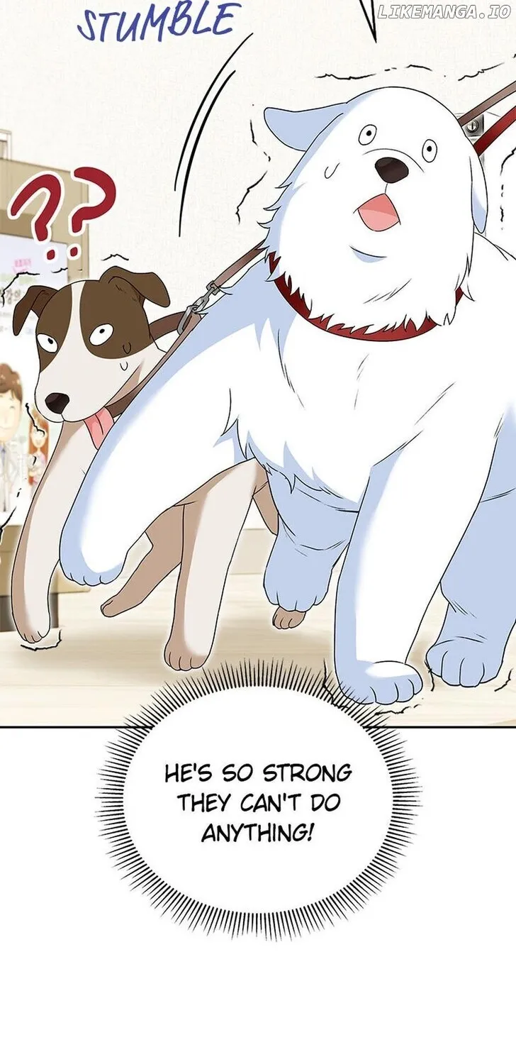 Hello, Mr. Veterinarian! Chapter 41 page 44 - 