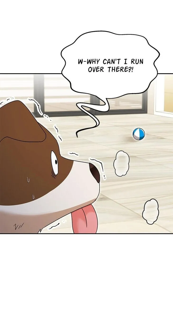 Hello, Mr. Veterinarian! Chapter 41 page 49 - 
