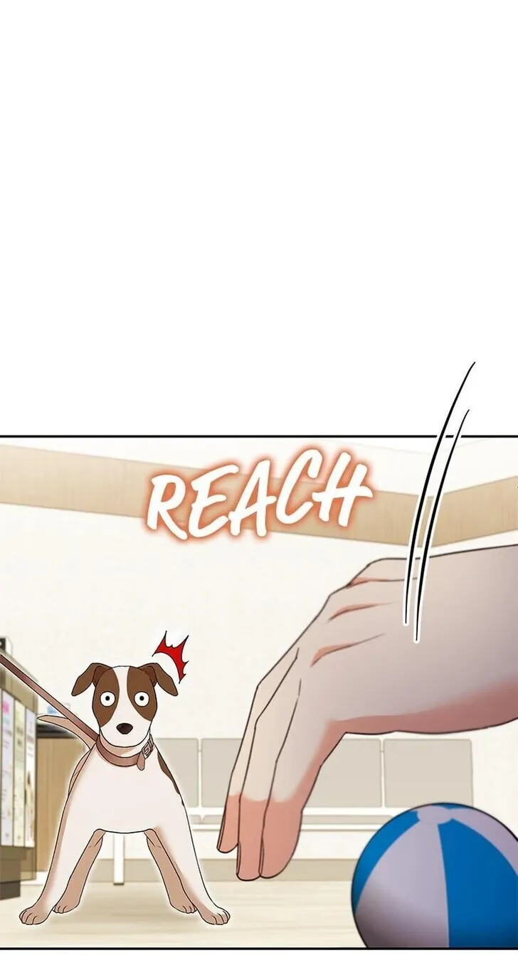 Hello, Mr. Veterinarian! Chapter 41 page 51 - 