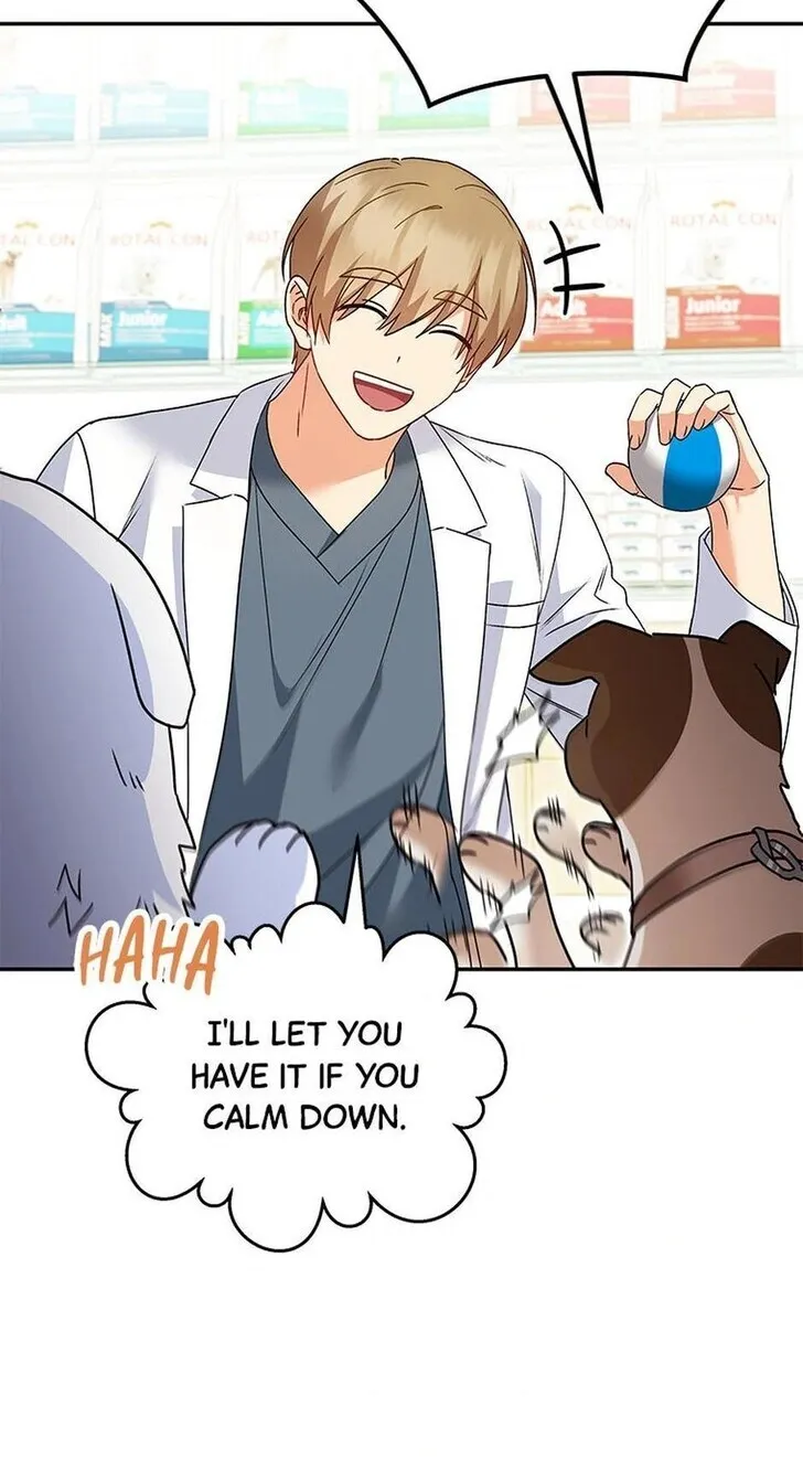 Hello, Mr. Veterinarian! Chapter 41 page 54 - 