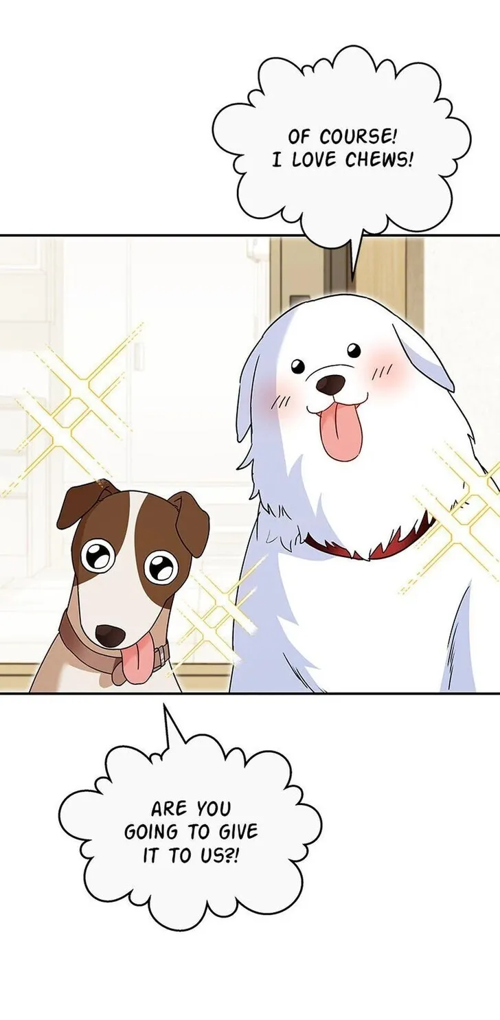 Hello, Mr. Veterinarian! Chapter 41 page 62 - 