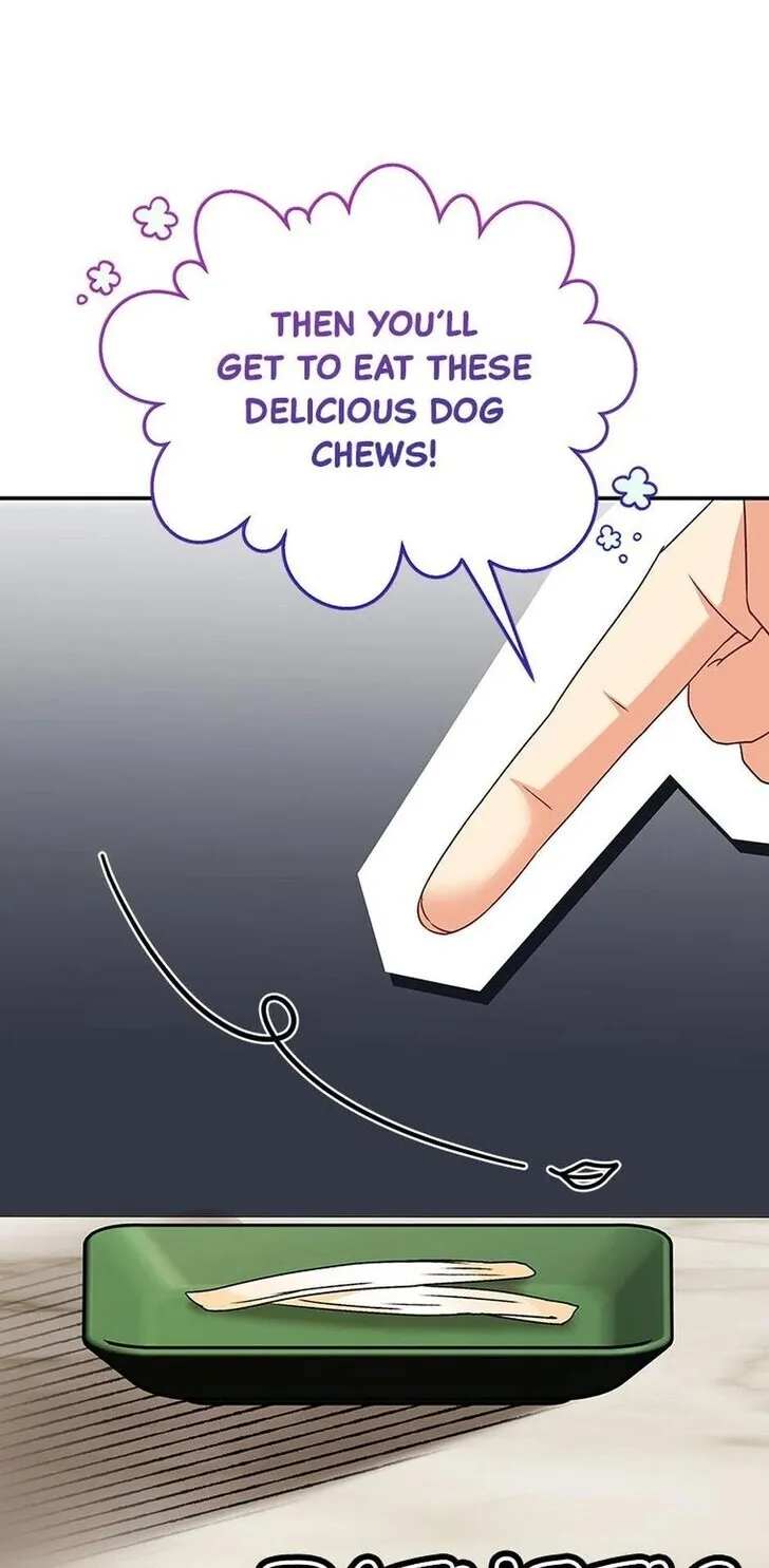 Hello, Mr. Veterinarian! Chapter 41 page 64 - 