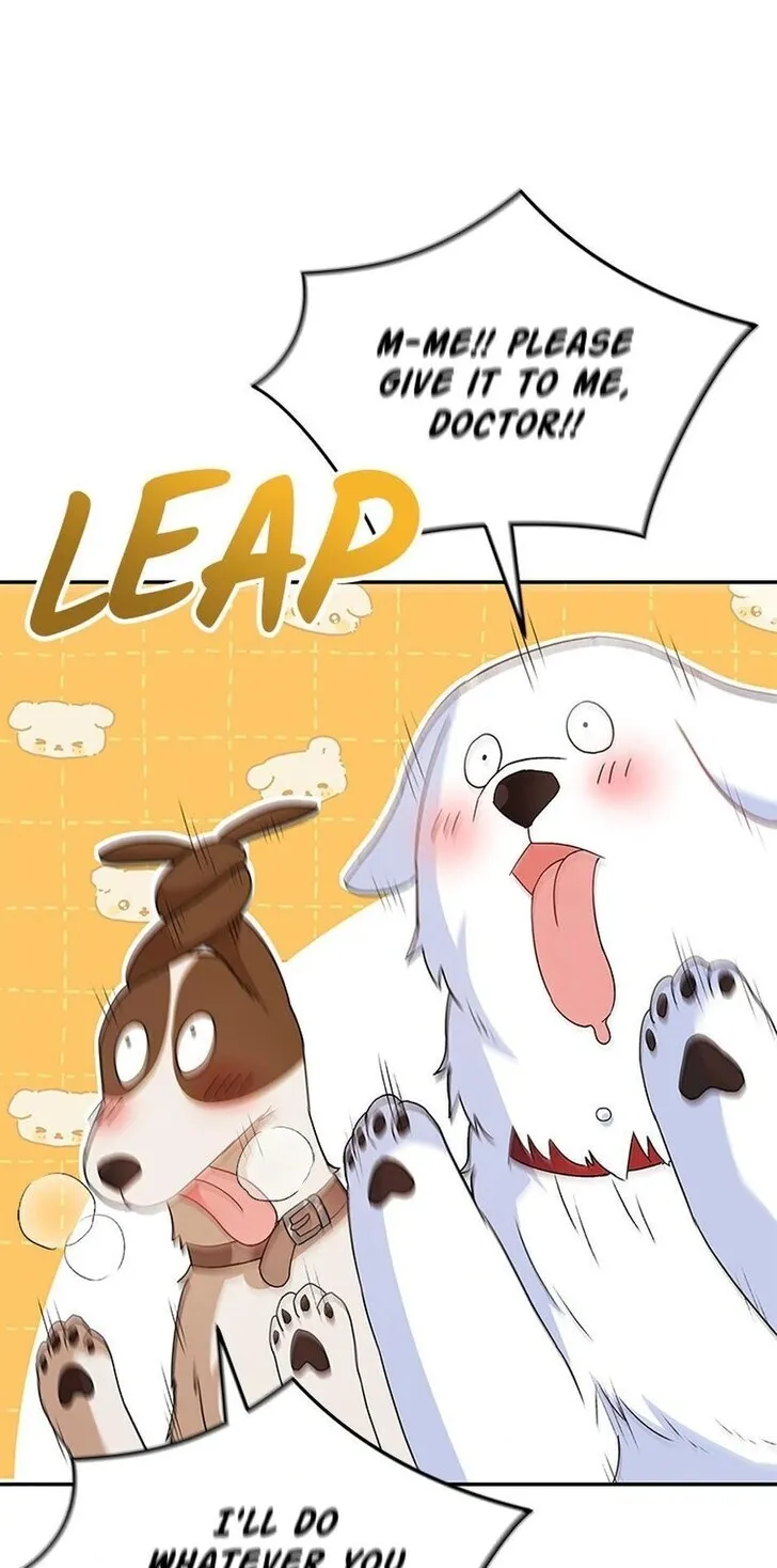 Hello, Mr. Veterinarian! Chapter 41 page 71 - 