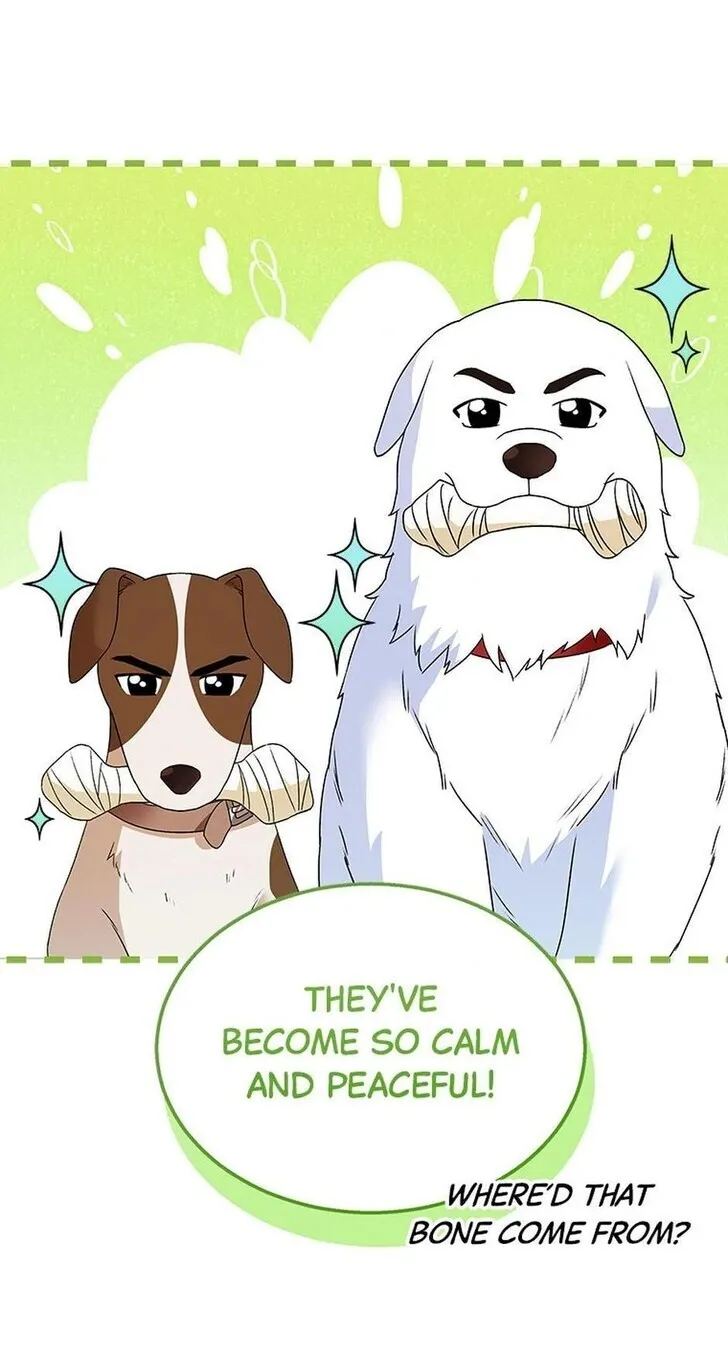 Hello, Mr. Veterinarian! Chapter 41 page 76 - 