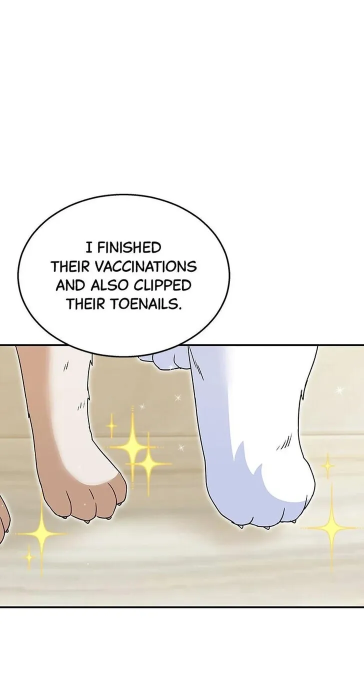 Hello, Mr. Veterinarian! Chapter 41 page 77 - 