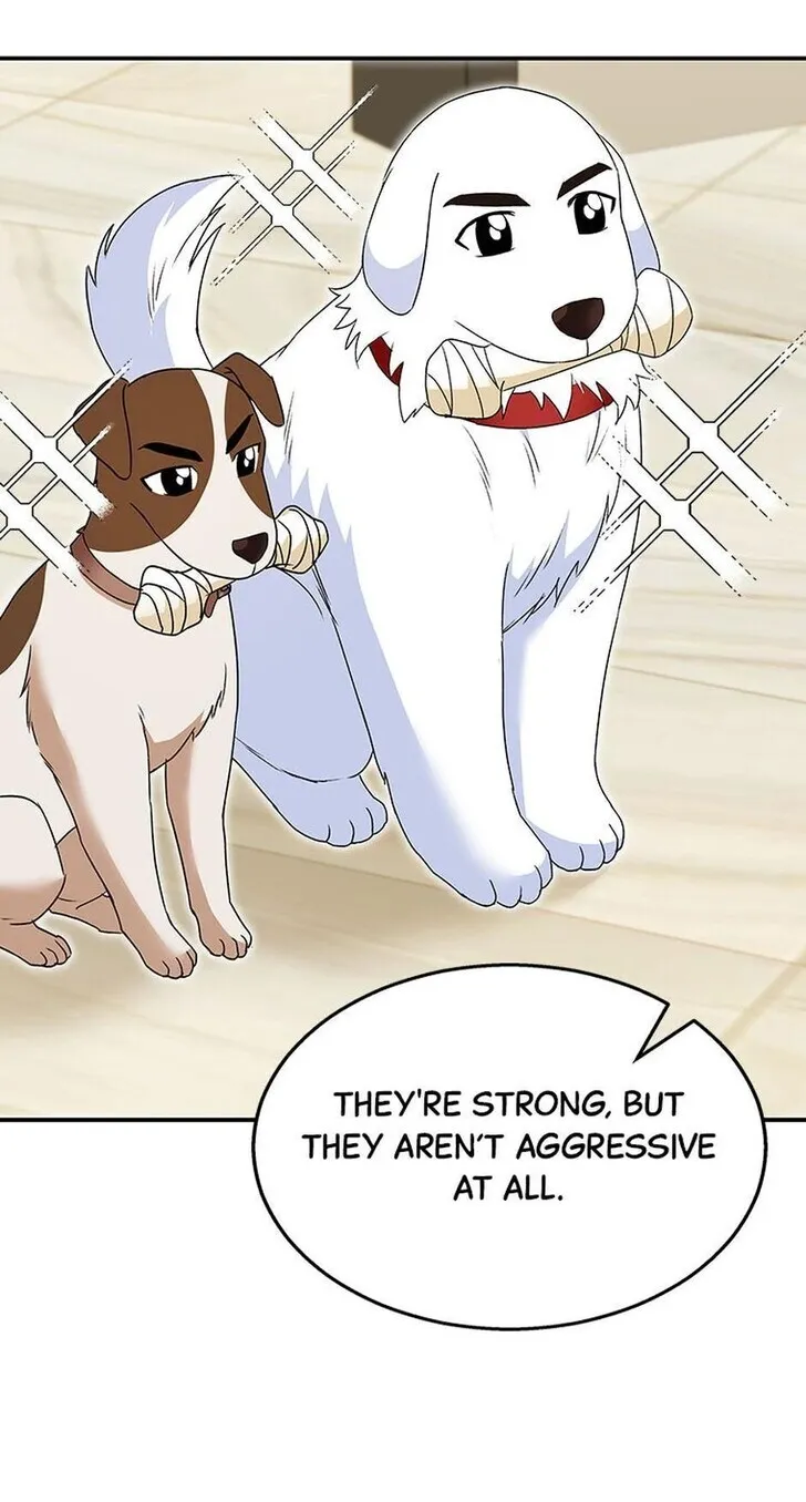 Hello, Mr. Veterinarian! Chapter 41 page 81 - 
