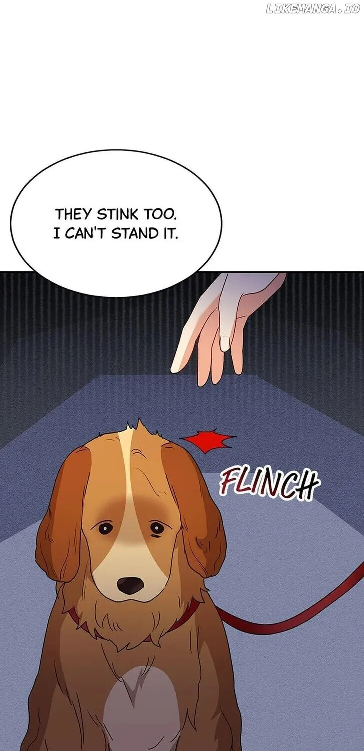 Hello, Mr. Veterinarian! Chapter 42 page 17 - 