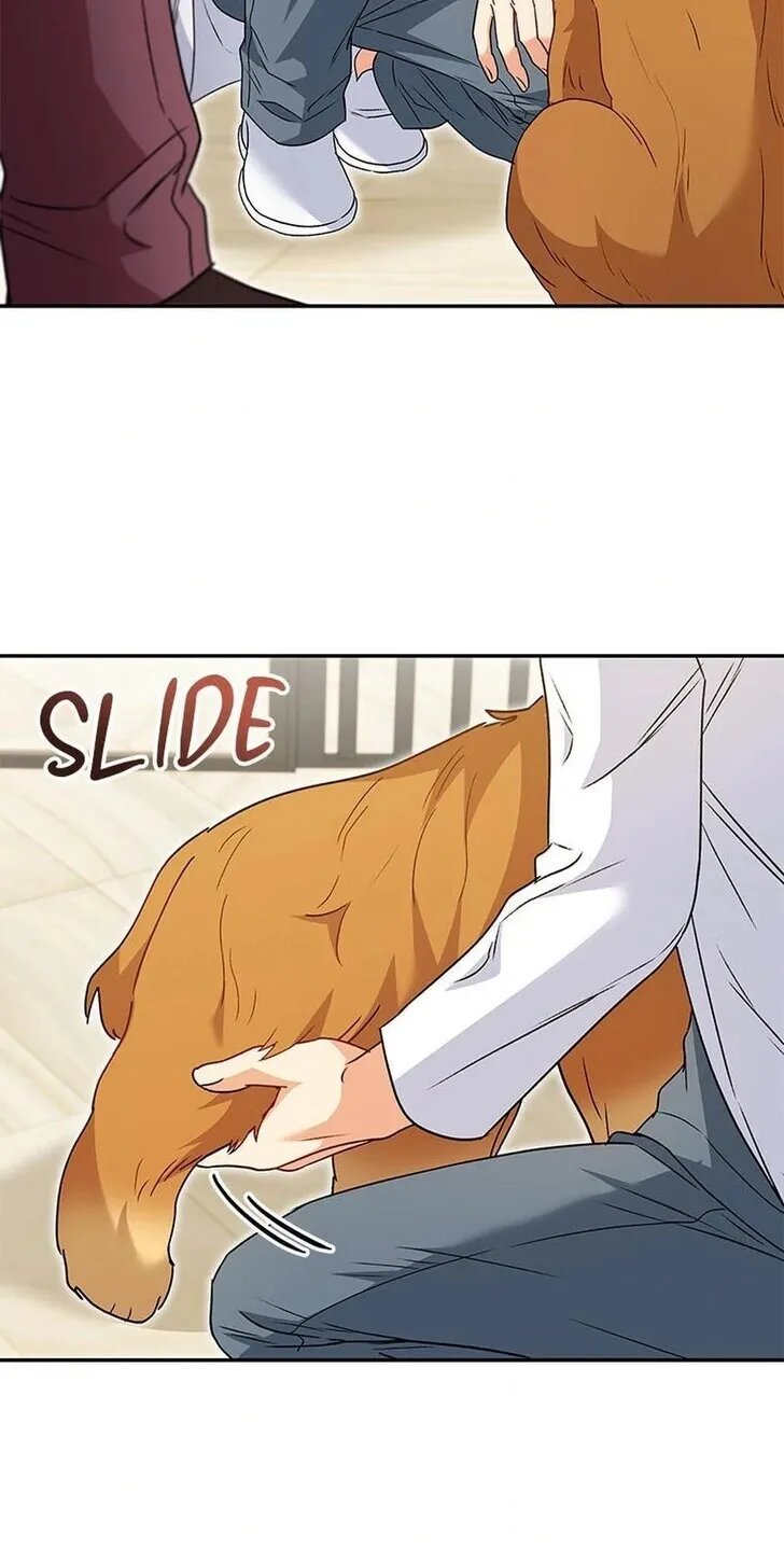 Hello, Mr. Veterinarian! Chapter 42 page 29 - 