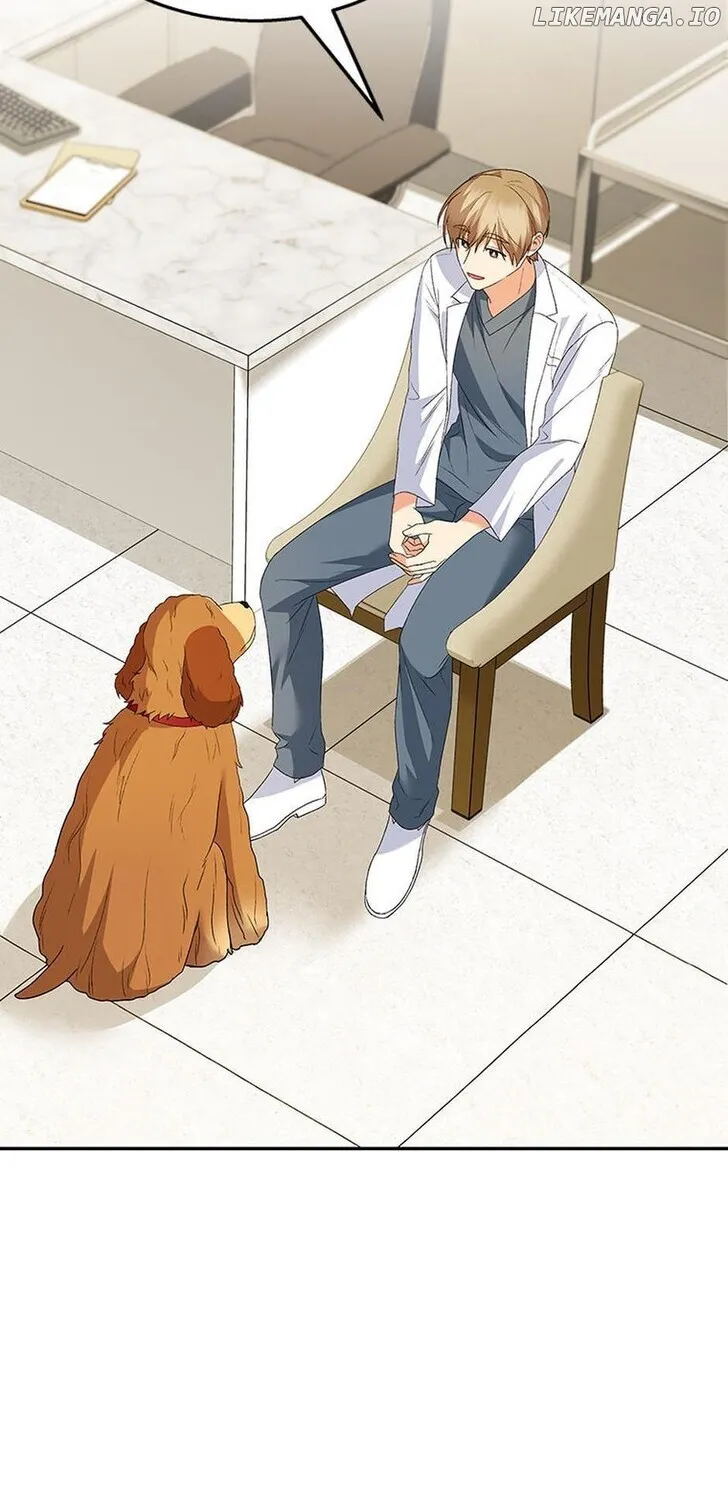 Hello, Mr. Veterinarian! Chapter 42 page 54 - 