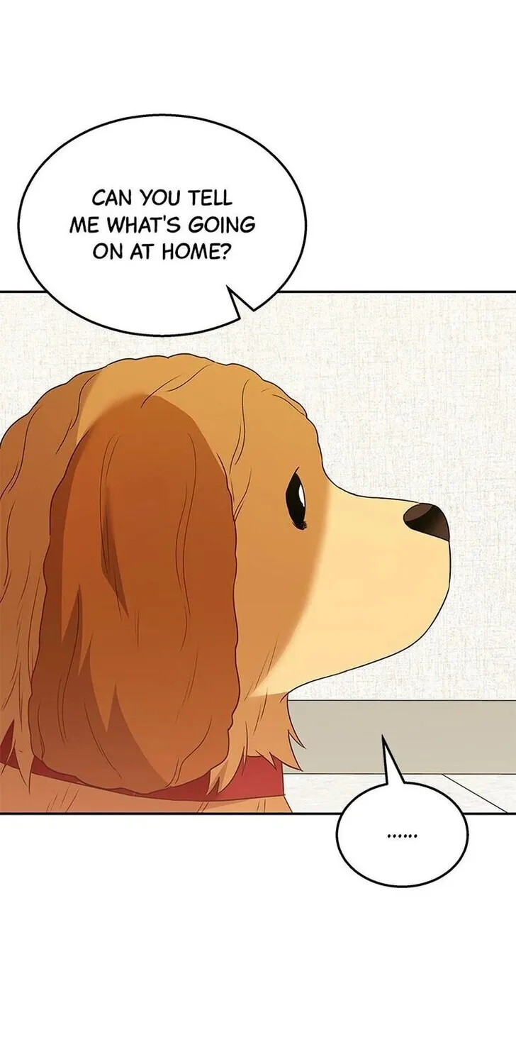 Hello, Mr. Veterinarian! Chapter 42 page 66 - 